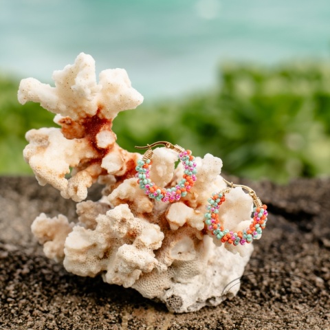 Candy Tropical Candy Tropical